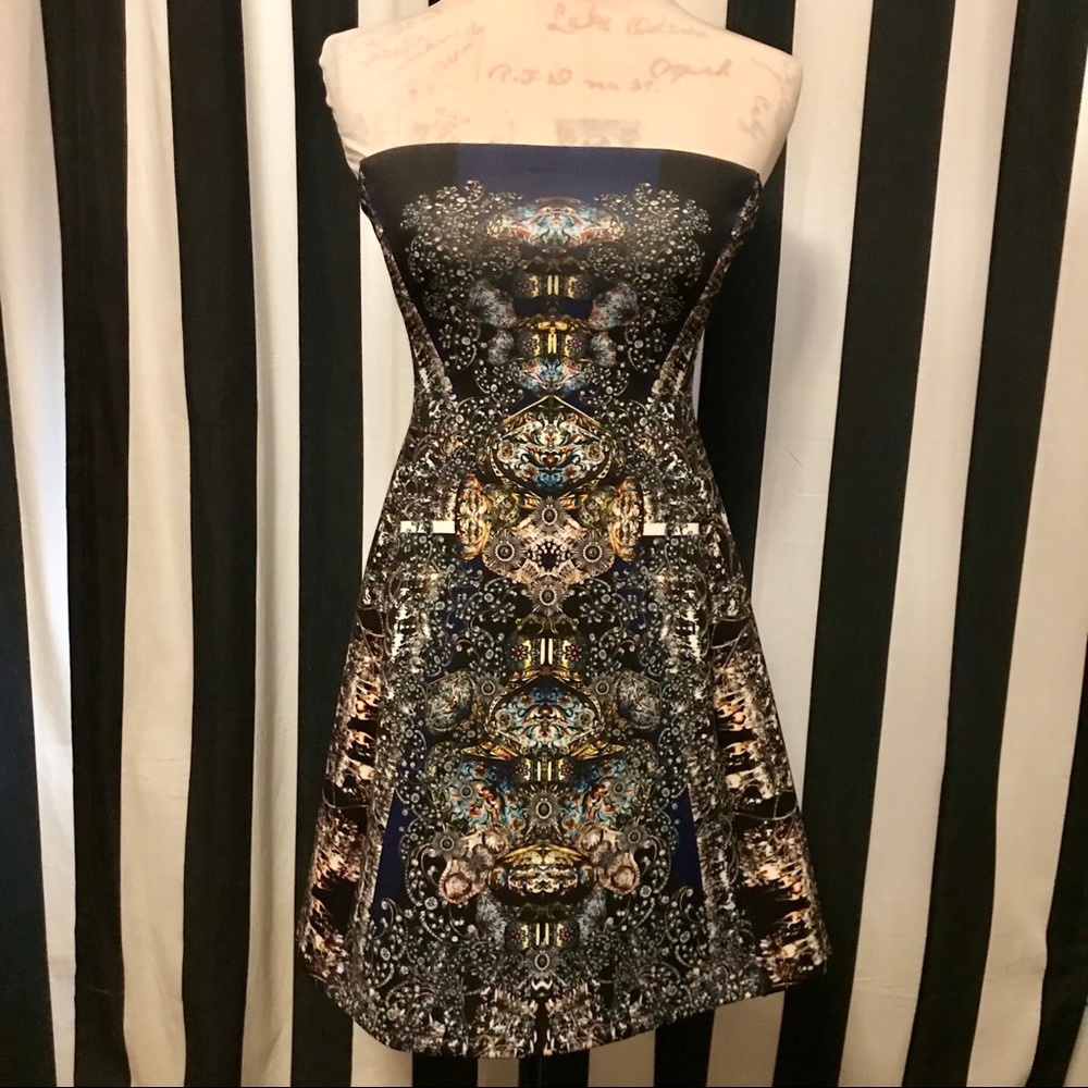 Clover Canyon Russian Enamel Strapless Dress Small